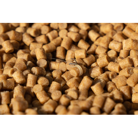 Esca Da Pesca Rara BRAD’S Gorgeous George – Confezione 2 Pezzi Con UV - Foto 5