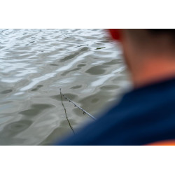 SCION POUR CANNE FEEDER...