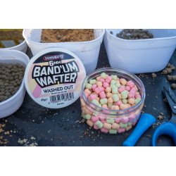 NEW 2019 BAND'UM WAFTERS DELAVE WASHED OUT SONUBAITS