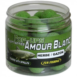POP UP SPECIAL AMOUR BLANC...